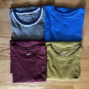 Lot of 4 Assorted T-Shirts in Gray, Blue, Burgundy, and Olive